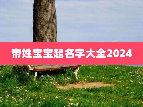 帝姓宝宝起名字大全2024