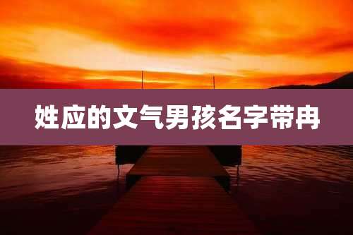 姓应的文气男孩名字带冉