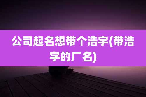 公司起名想带个浩字(带浩字的厂名)