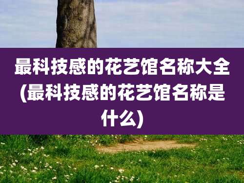 最科技感的花艺馆名称大全(最科技感的花艺馆名称是什么)