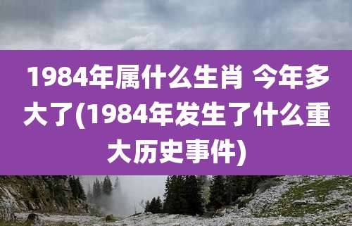 1984年属什么生肖 今年多大了(1984年发生了什么重大历史事件)