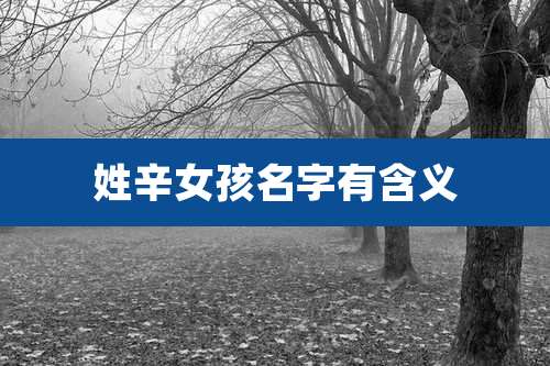 姓辛女孩名字有含义