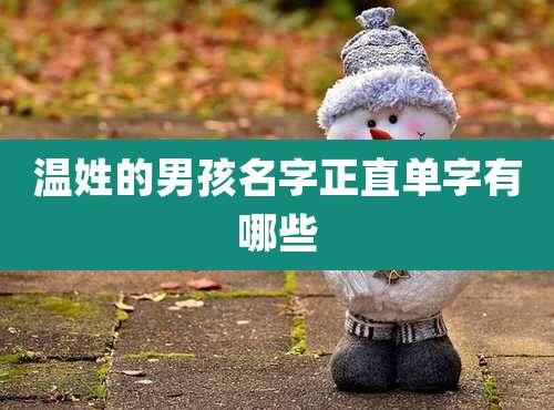 温姓的男孩名字正直单字有哪些