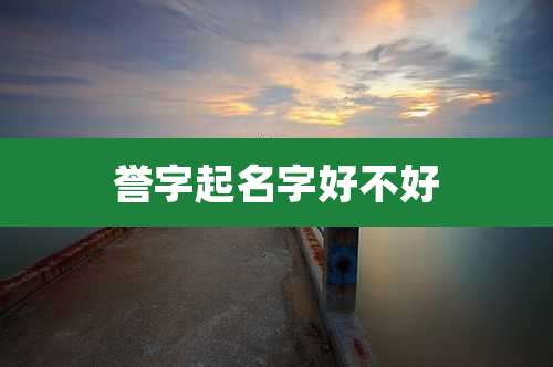 誉字起名字好不好