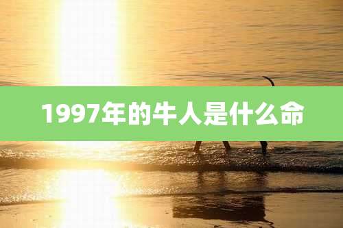 1997年的牛人是什么命