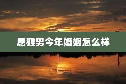 属猴男今年婚姻怎么样