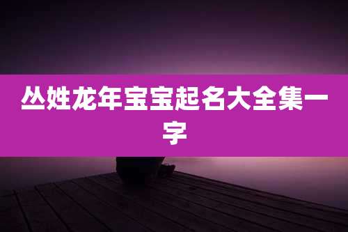 丛姓龙年宝宝起名大全集一字