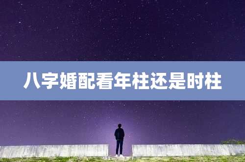 八字婚配看年柱还是时柱