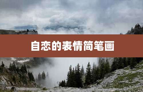 自恋的表情简笔画