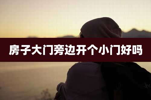 房子大门旁边开个小门好吗