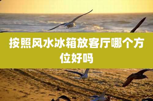 按照风水冰箱放客厅哪个方位好吗