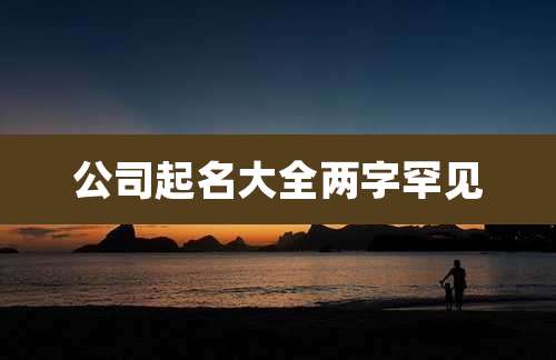 公司起名大全两字罕见