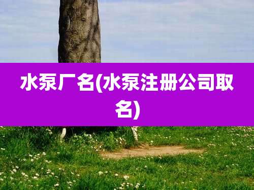 水泵厂名(水泵注册公司取名)