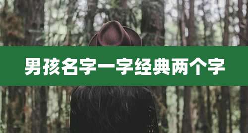 男孩名字一字经典两个字