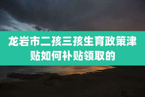 龙岩市二孩三孩生育政策津贴如何补贴领取的