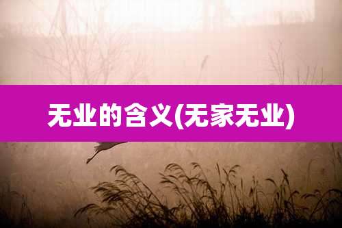 无业的含义(无家无业)