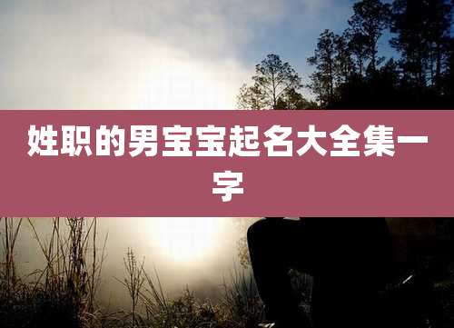 姓职的男宝宝起名大全集一字