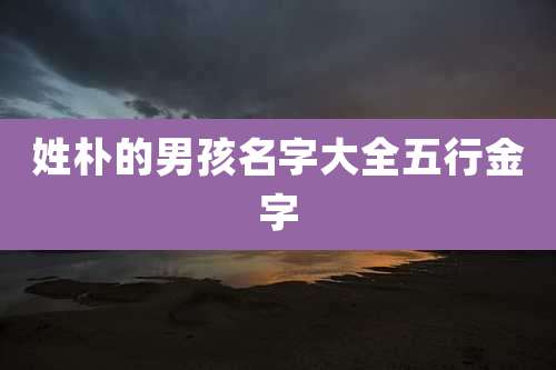 姓朴的男孩名字大全五行金字