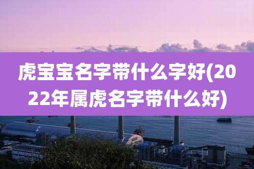 虎宝宝名字带什么字好(2022年属虎名字带什么好)