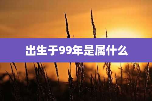 出生于99年是属什么