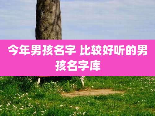 今年男孩名字 比较好听的男孩名字库