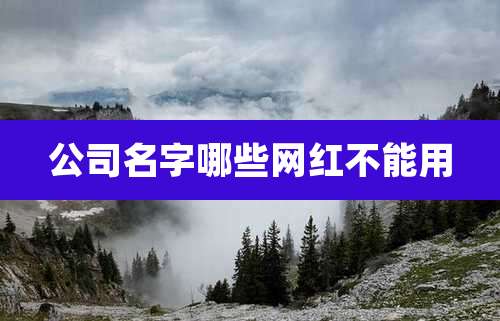 公司名字哪些网红不能用