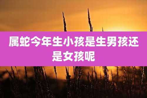 属蛇今年生小孩是生男孩还是女孩呢