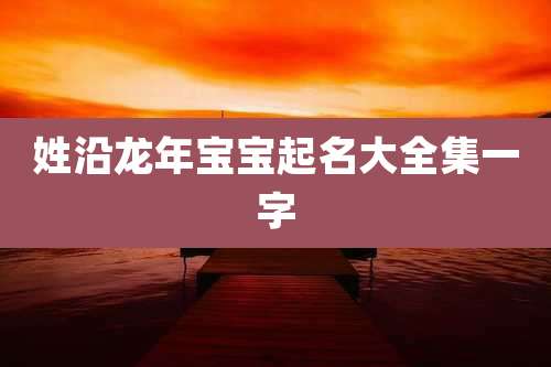 姓沿龙年宝宝起名大全集一字