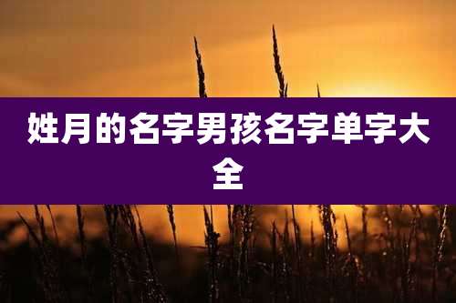 姓月的名字男孩名字单字大全