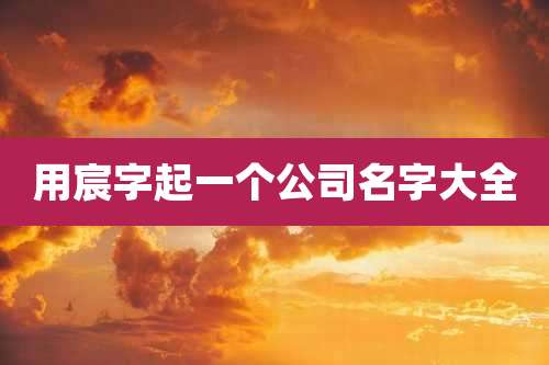 用宸字起一个公司名字大全