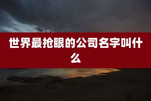 世界最抢眼的公司名字叫什么