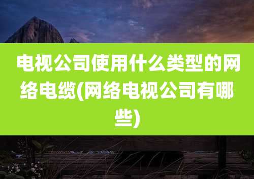 电视公司使用什么类型的网络电缆(网络电视公司有哪些)