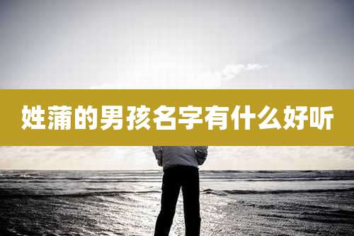 姓蒲的男孩名字有什么好听