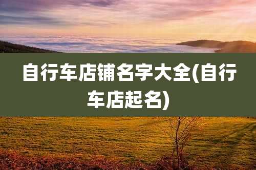 自行车店铺名字大全(自行车店起名)