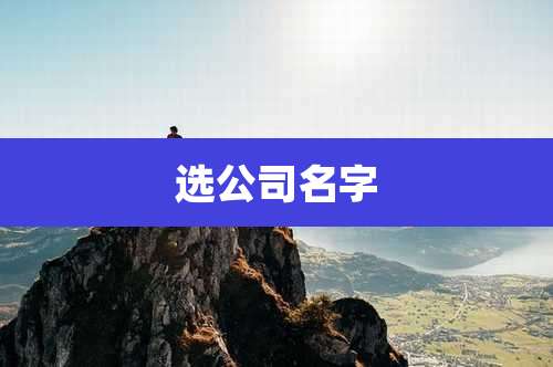 选公司名字