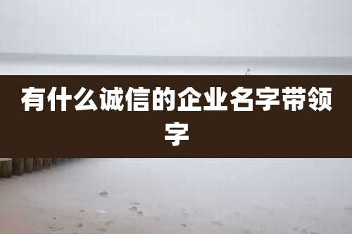 有什么诚信的企业名字带领字