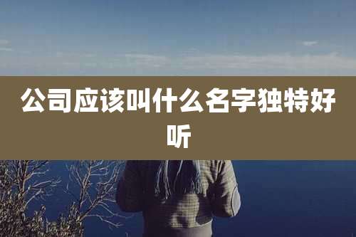 公司应该叫什么名字独特好听