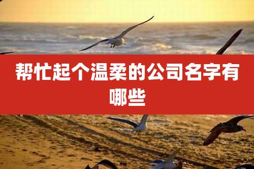 帮忙起个温柔的公司名字有哪些