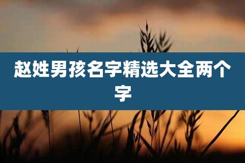 赵姓男孩名字精选大全两个字