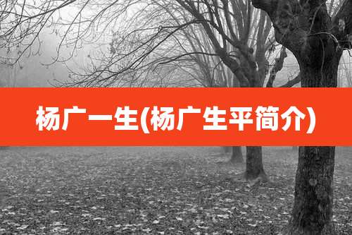 杨广一生(杨广生平简介)