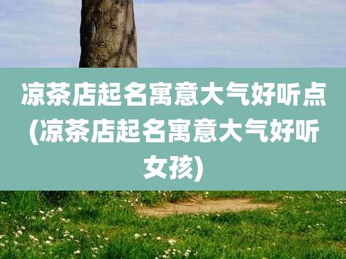 凉茶店起名寓意大气好听点(凉茶店起名寓意大气好听女孩)