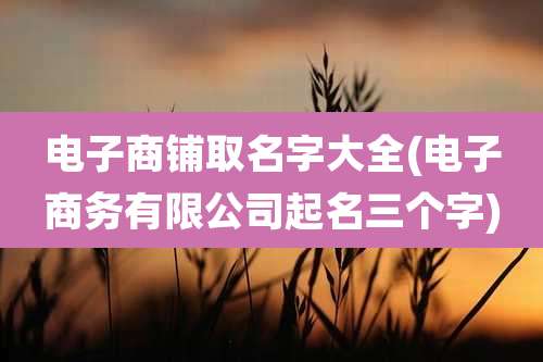 电子商铺取名字大全(电子商务有限公司起名三个字)