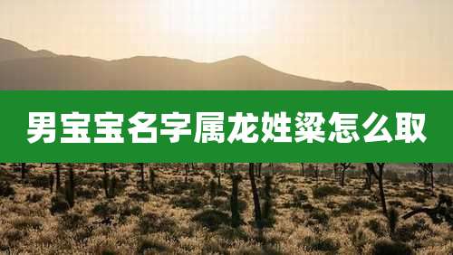 男宝宝名字属龙姓粱怎么取