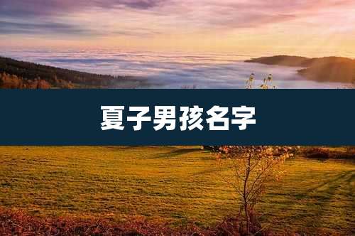 夏子男孩名字