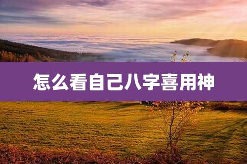 怎么看自己八字喜用神