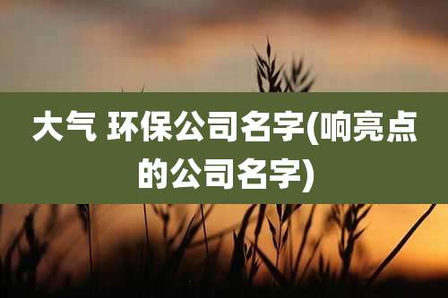 大气 环保公司名字(响亮点的公司名字)