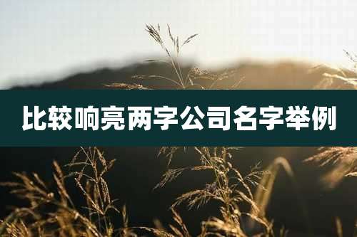比较响亮两字公司名字举例