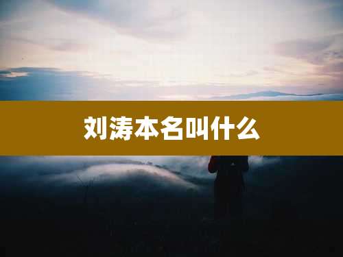 刘涛本名叫什么