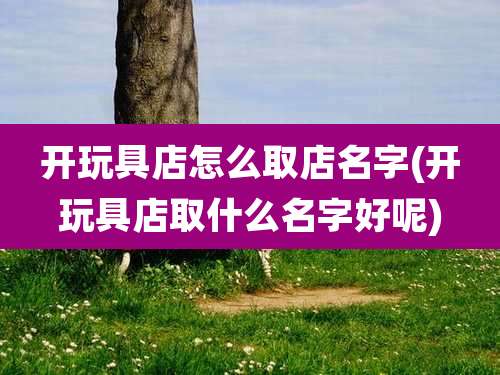 开玩具店怎么取店名字(开玩具店取什么名字好呢)