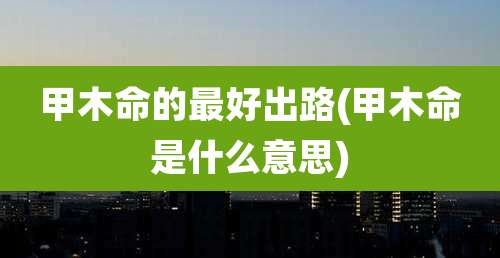 甲木命的最好出路(甲木命是什么意思)